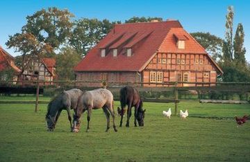Крестьянский двор с лошадьми