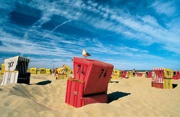 Лангеоог: плетеное кресло с тентом на пляже с чайкой